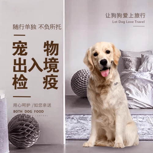 南平市宠物托运到哥伦比亚猫狗宠物入境规定和
