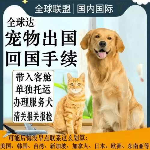 南平市宠物托运到柬埔寨宠物入境规定和要求