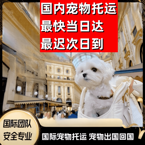 南平市到澳大利亚（澳洲）宠物入境规定和要求