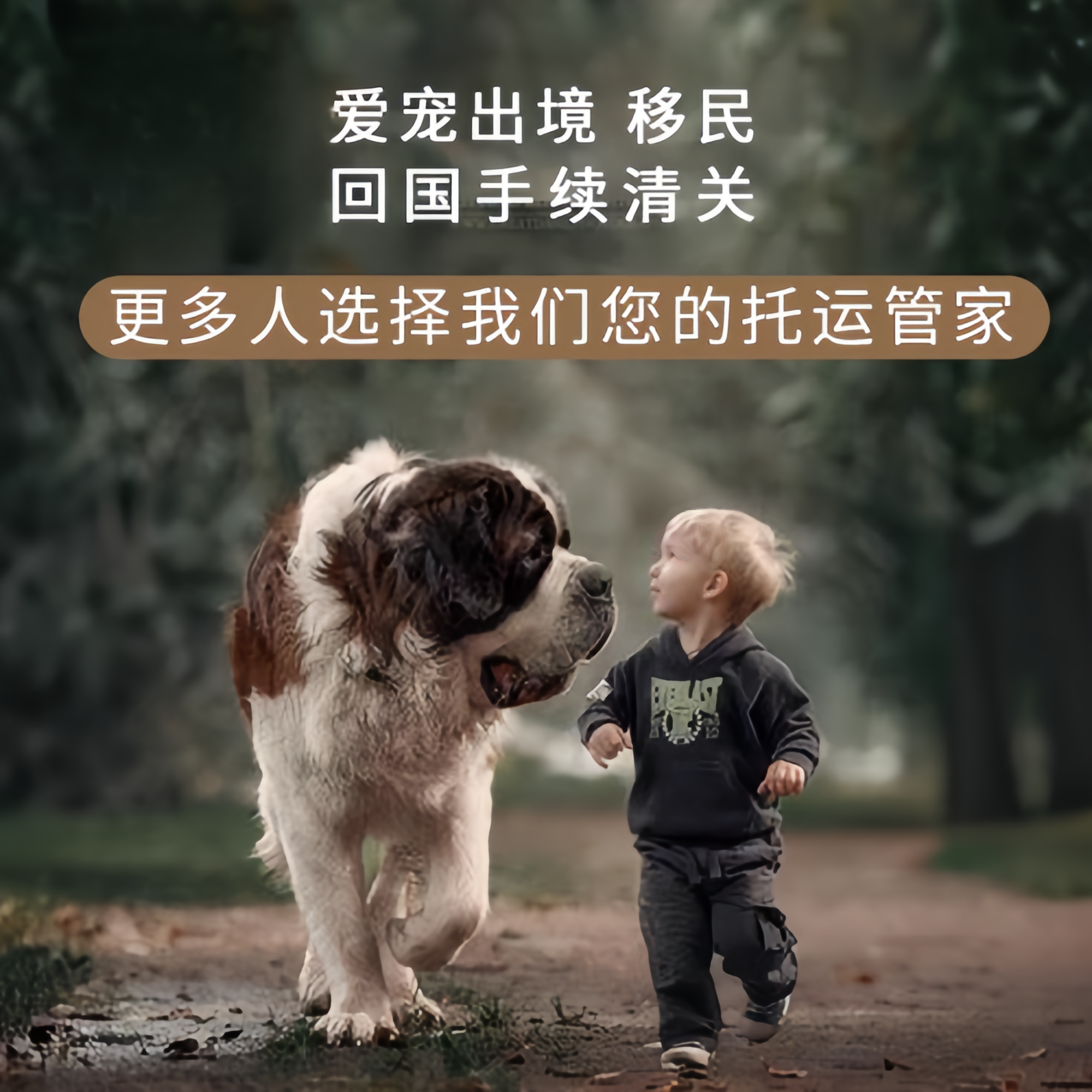 满财南平市宠物全球达宠物托运在遵守入境目的地政策的条件