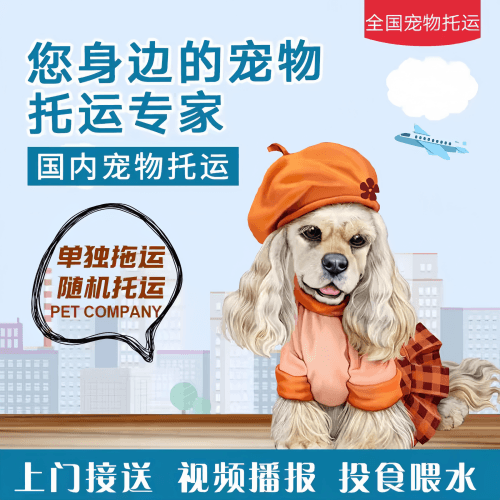 满财南平市宠物全球达宠物托运作为专业的宠物运输代理机构